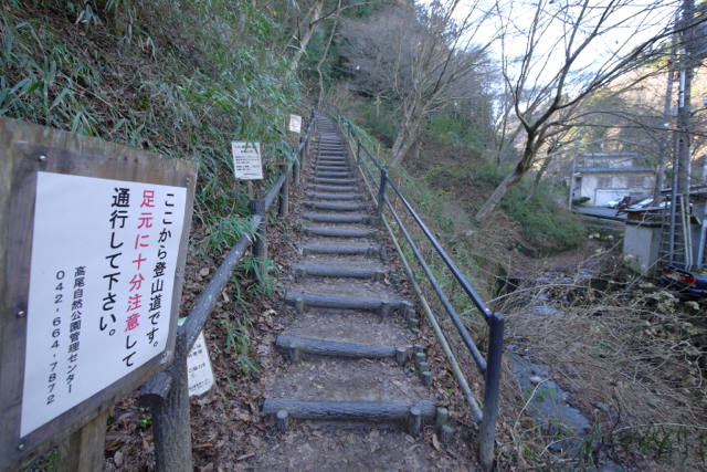 稲毛山登山路、まずは急な階段がお出迎え。
