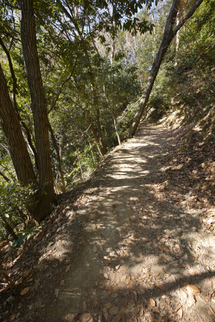 木漏れ日が美しい登山路。