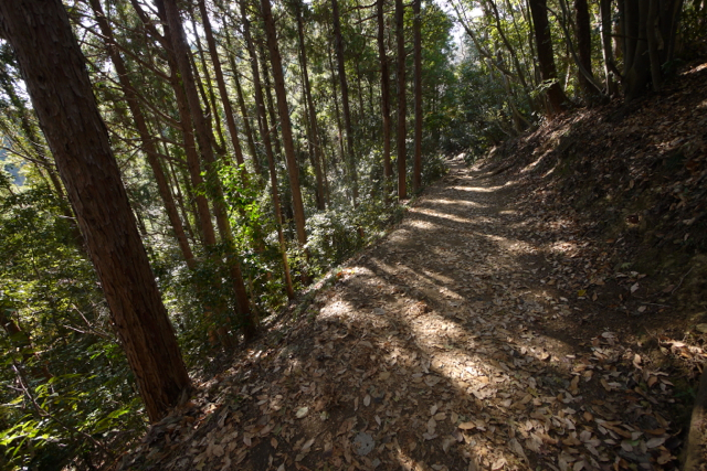 木漏れ日が美しい登山路。