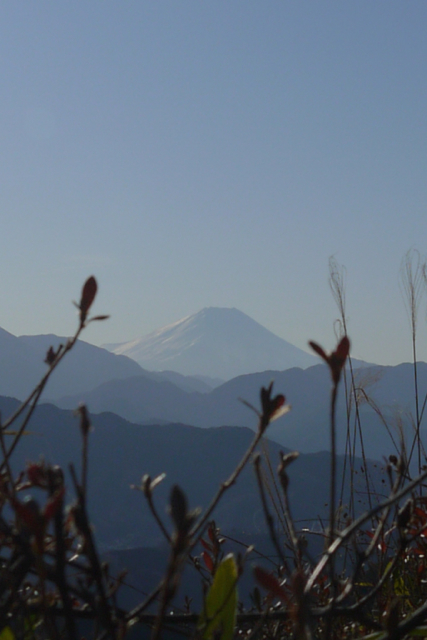 高尾山のもみじ台から臨む富士山