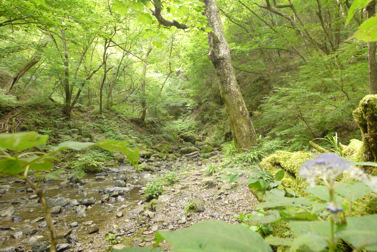 御岳山ロックガーデン