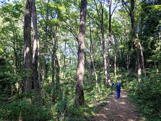 天覧山ハイキングコース