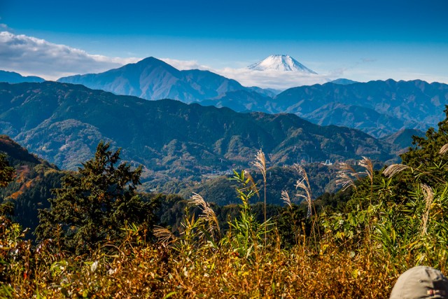 「もみじ台」から見た富士山