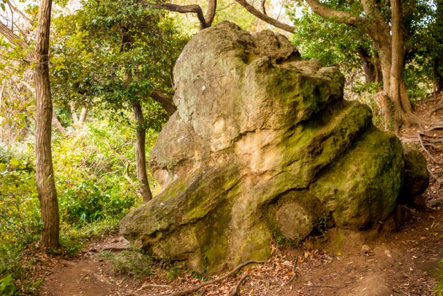 天園ハイキングコースの十王岩