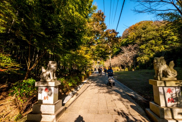 天園ハイキングコースに建長寺から登る