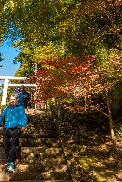 天園ハイキングコースに建長寺から登る