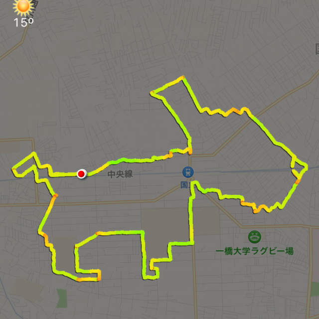 今年の干支ランニングは戌年