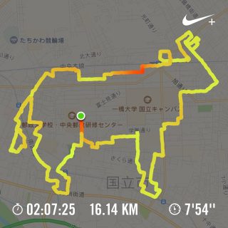 国立市に描いた牛のランニングアート