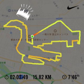 白鳥のランニングアート