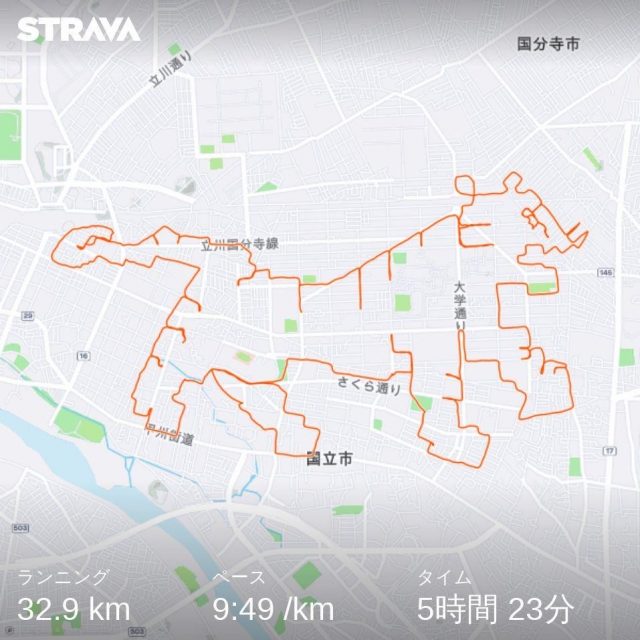 Stravaを使ったランニングアート