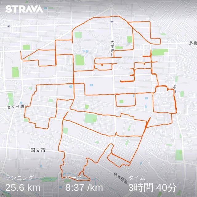 STRAVA ART