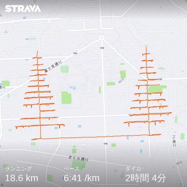 Stravaを使ったクリスマスツリーのランニングアート