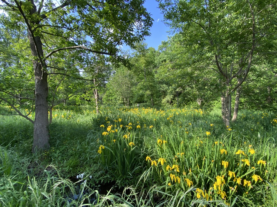 立川市羽衣公園