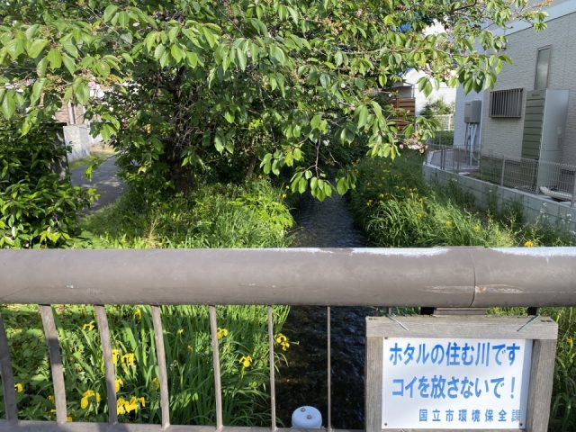 羽衣公園から流れる矢川