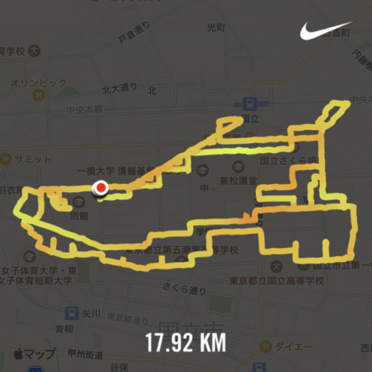 GPS RUN "NIKE FREE RN 3.0 2020"