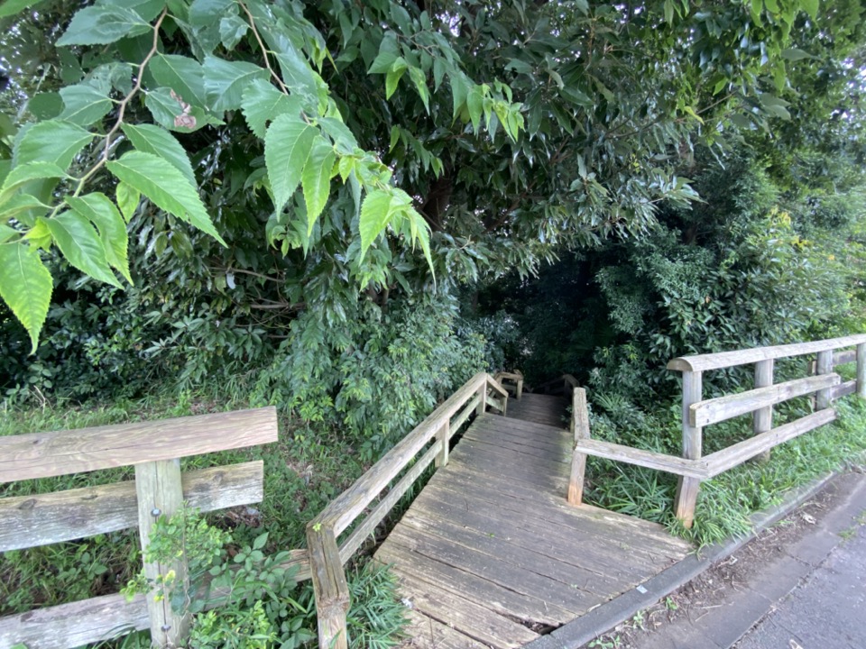 ママ下湧き水公園の階段