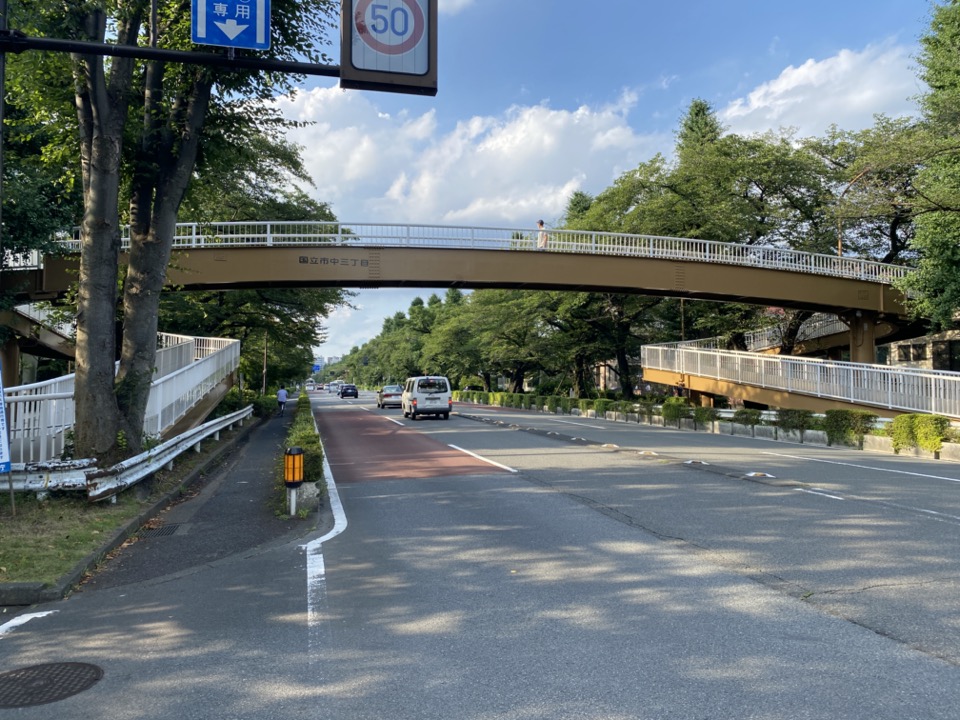 大学通り歩道橋