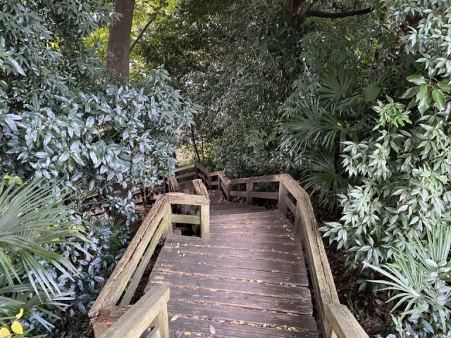 ママ下湧き水公園の階段