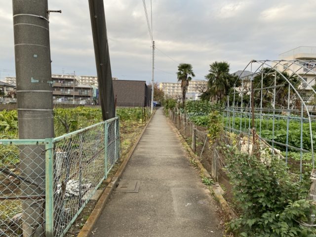 国立市矢川駅の農園