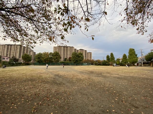 矢川上公園の広場