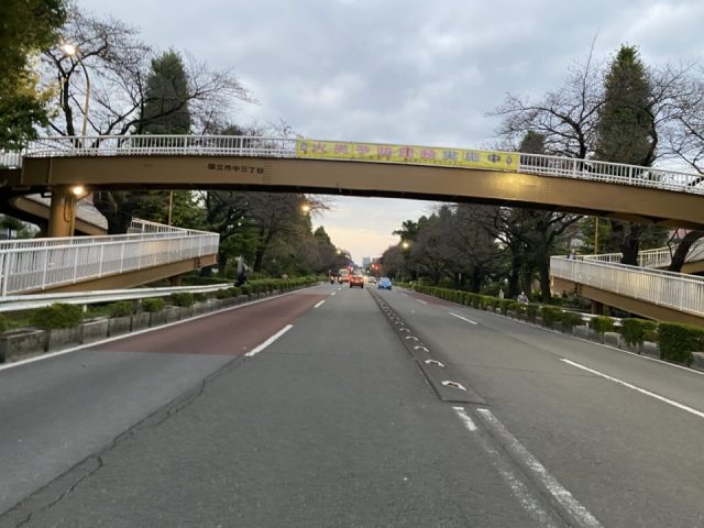 大学通りの歩道橋