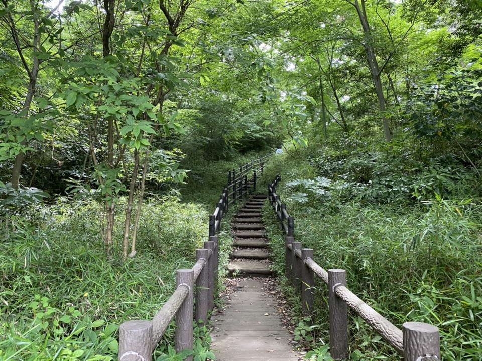 都立狭山公園の階段