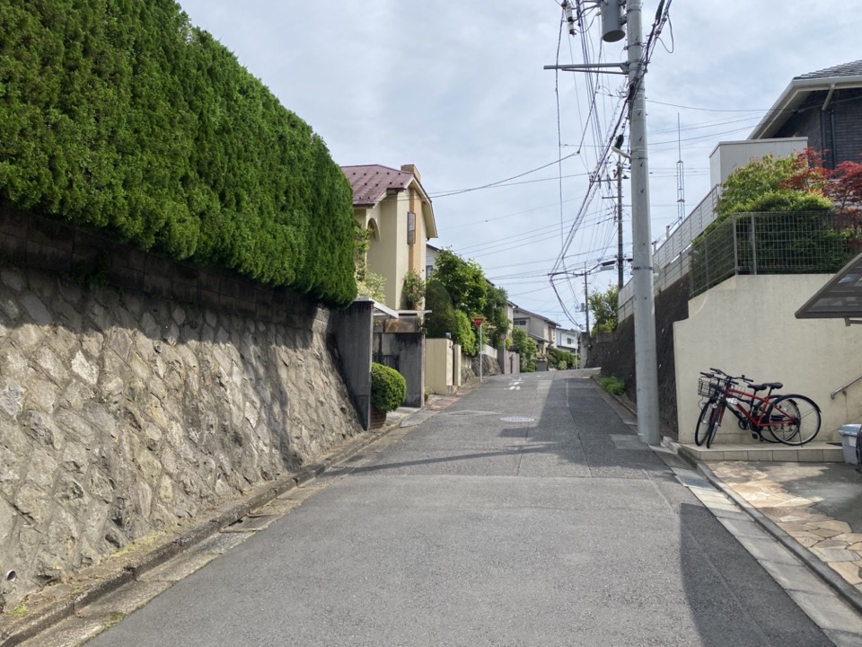 多摩湖バナソン道路