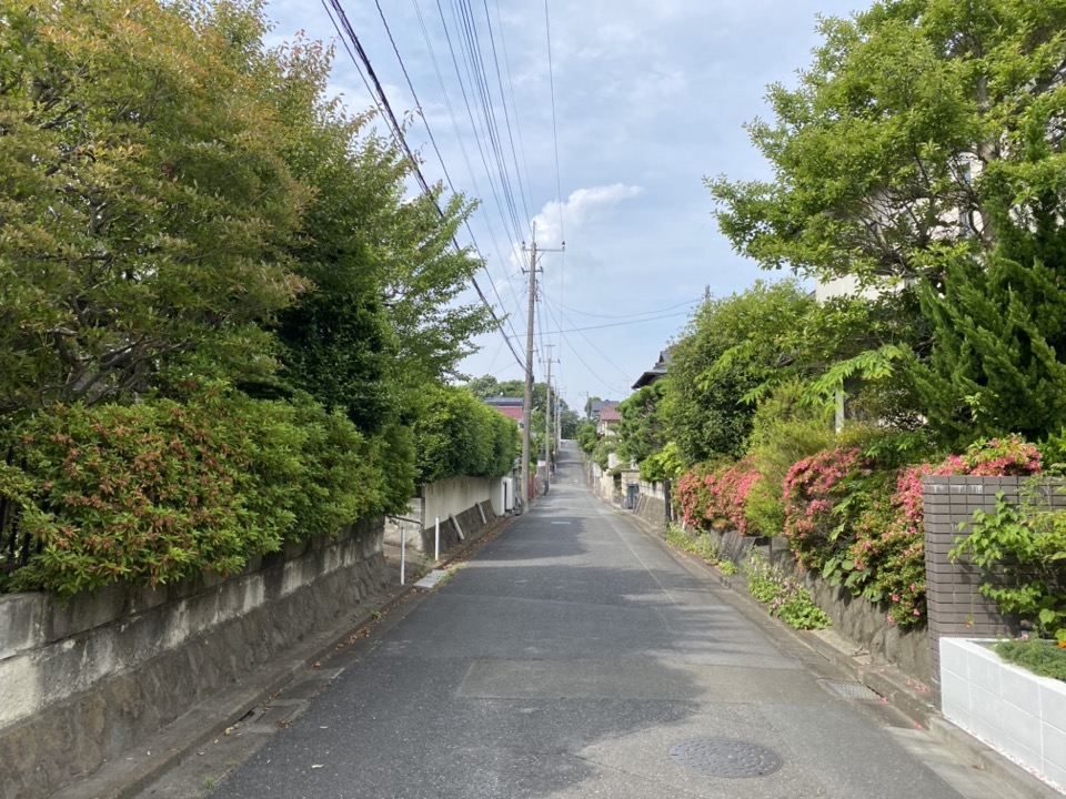 多摩湖バナソン道路