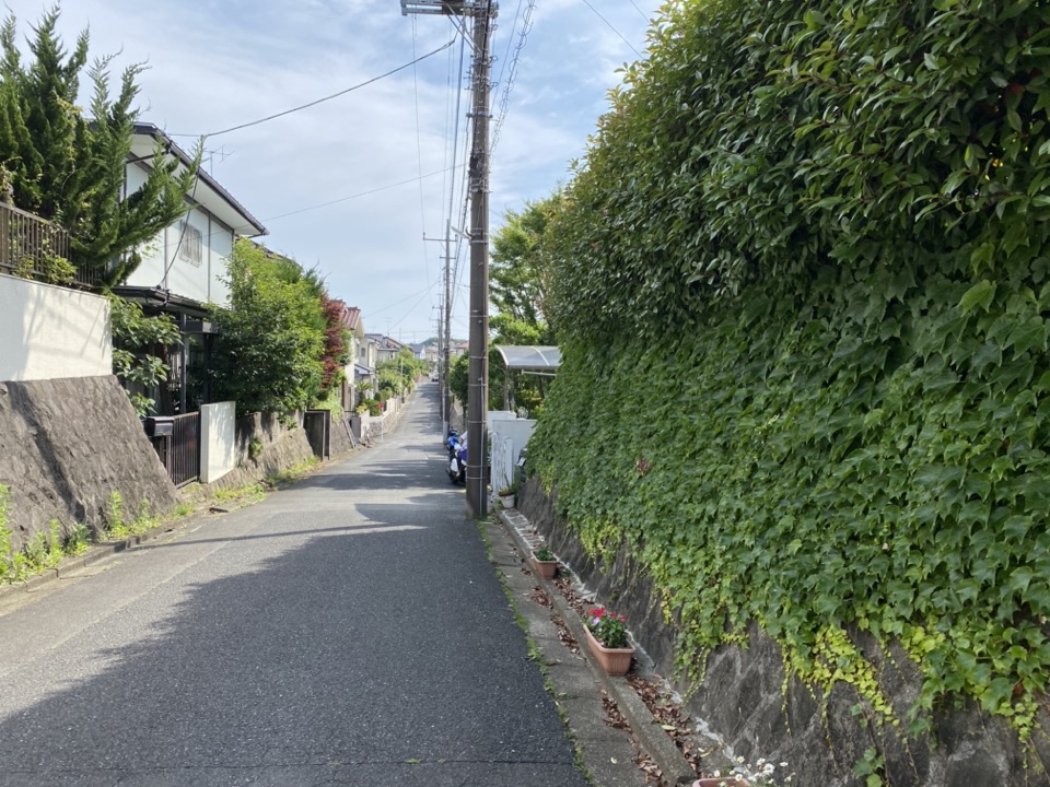 多摩湖バナソン道路