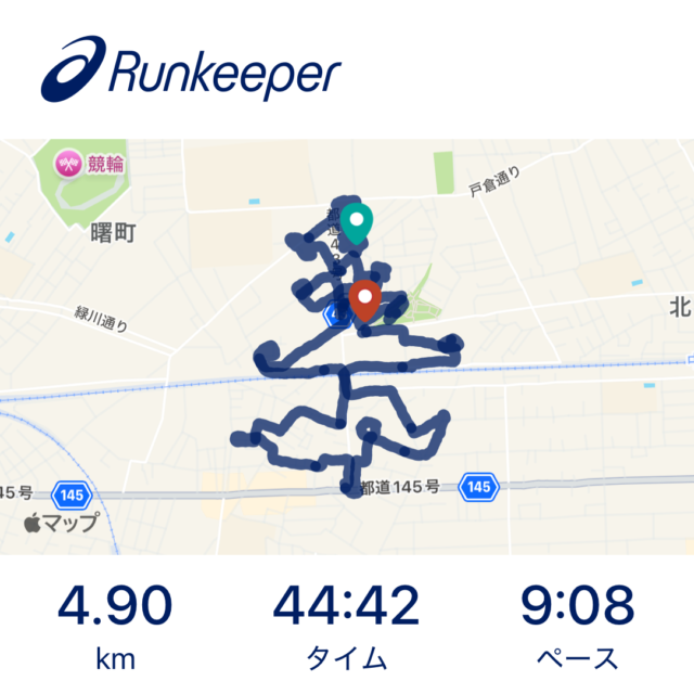 Xmasツリーのお絵かきラン