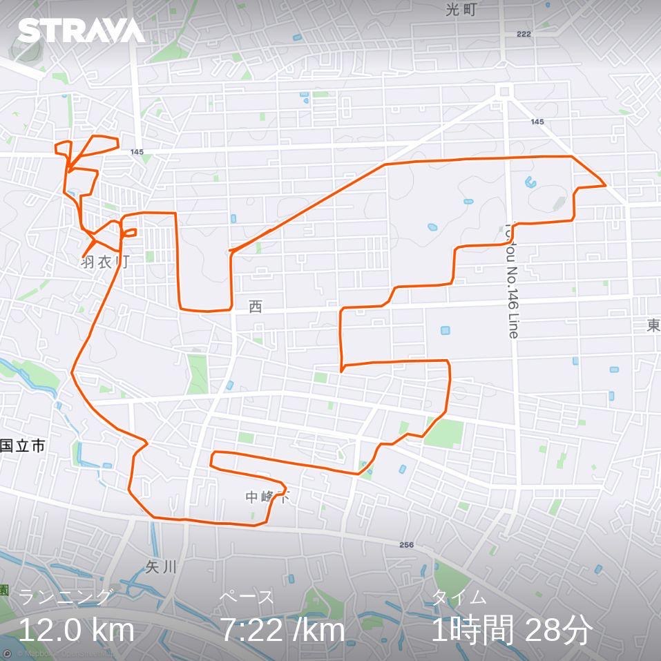 Strava Art の鳩