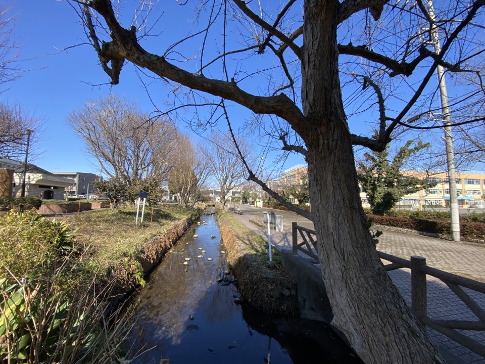 国立市の矢川憩いの広場