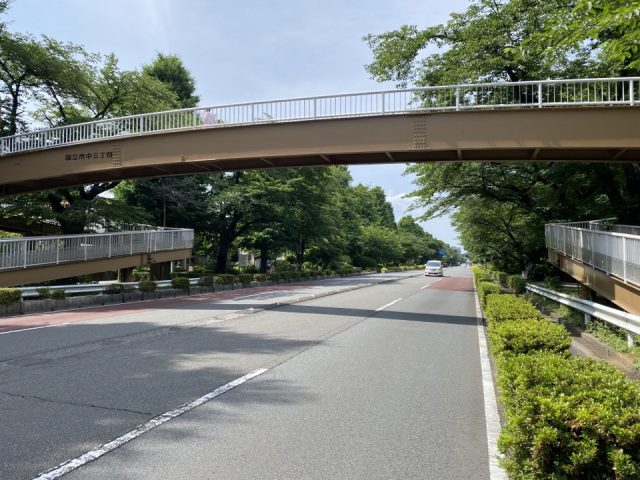 国立市東4丁目の横断歩道