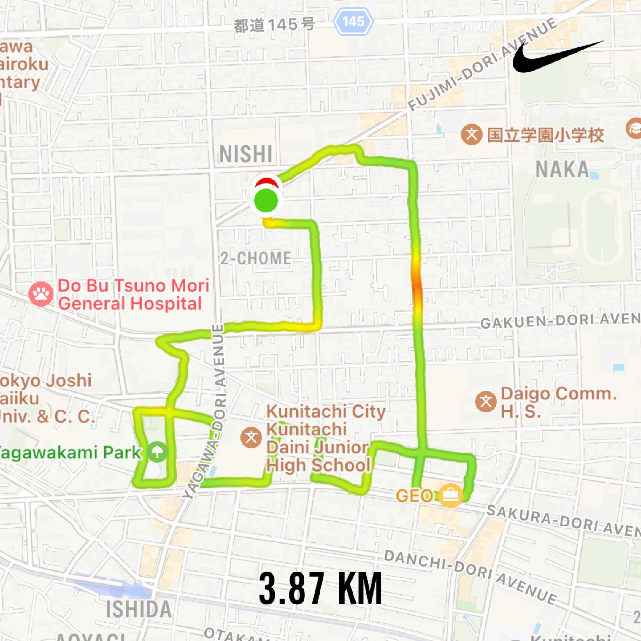 恐竜のGPS art