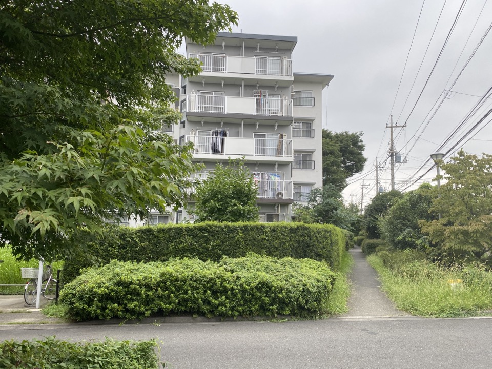 富士見台第1団地の脇道