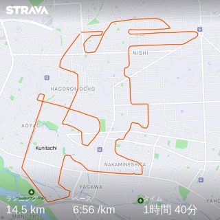 STRAVA ARTの兎