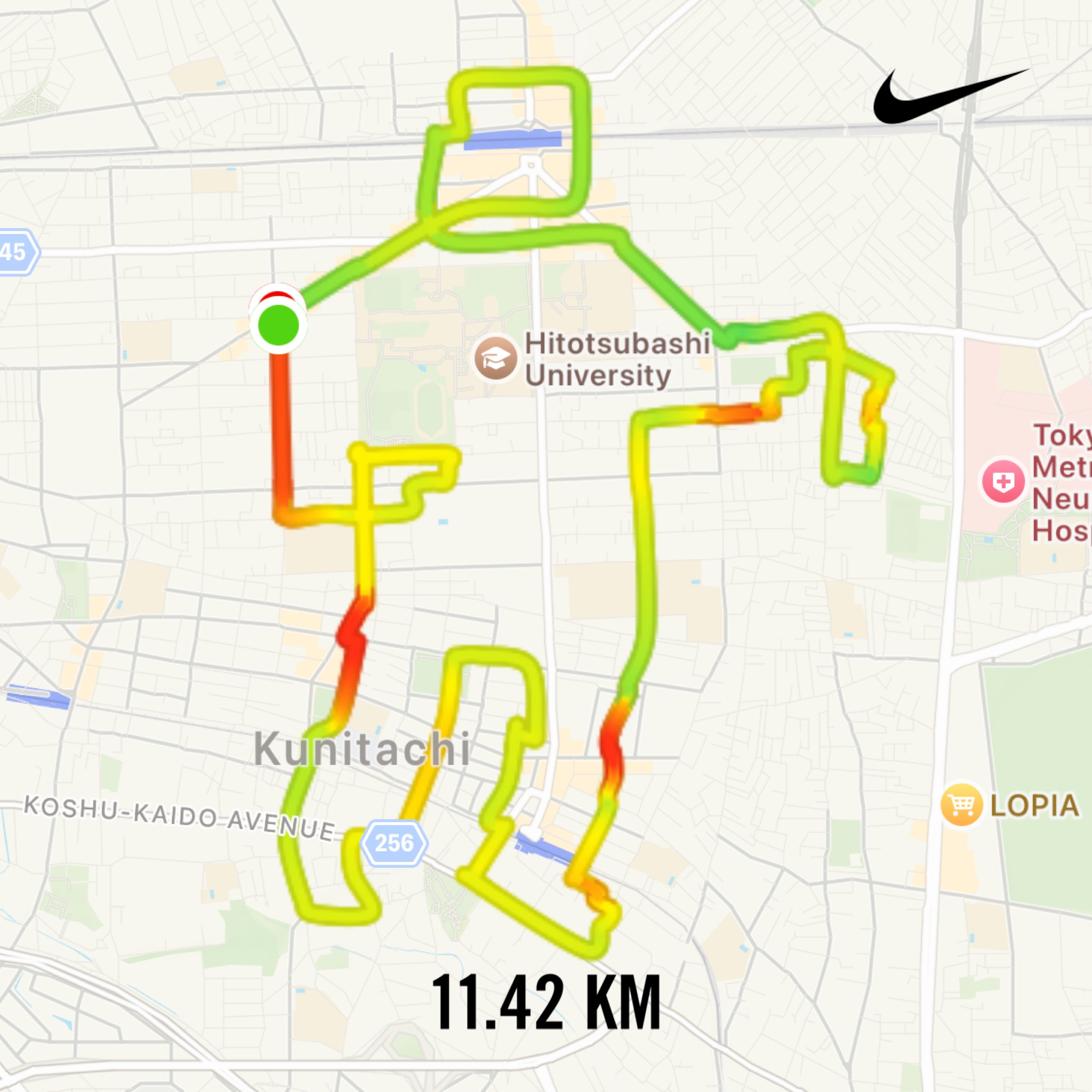 投票する人のGPSアート