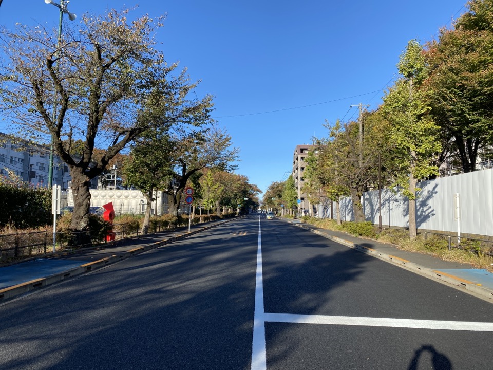 国立市さくら通り