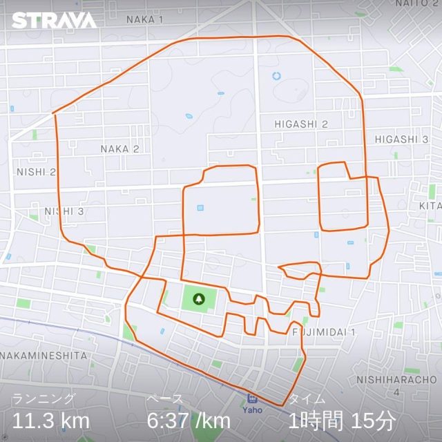 ガイコツの Strava art